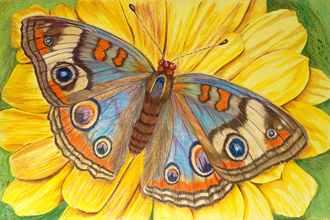 ON THE WINGS OF LOVE