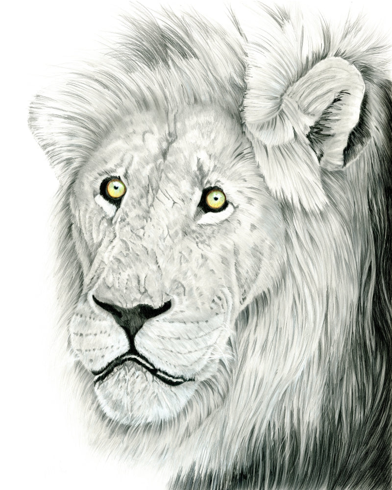 YOUR HIGHNESS.